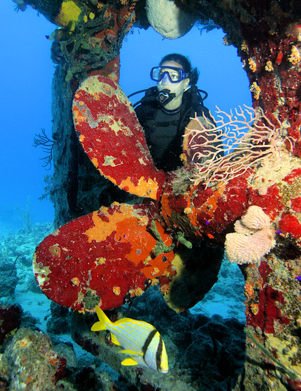 Nassau  2-Tank Dive Trip